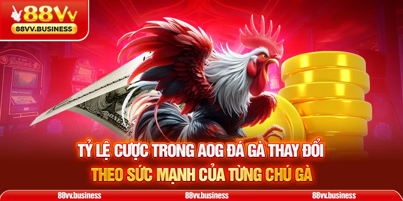 Tỷ lệ cược trong AOG đá gà thay đổi theo sức mạnh của từng chú gà